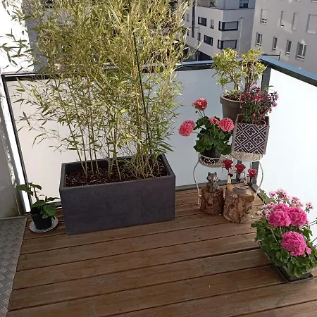 Nature * 스트라스부르